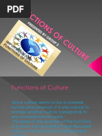 Functions of Culture