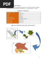 PIP Yuca PDF