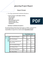 Software Engineering Project Report 