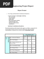 Software Engineering Project Report 