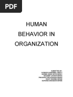 Human Behavior in Organization