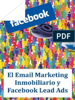 2.-Informe Email Marketing Inmobiliario y Facebook Ads