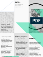 15 Triptico PDF