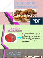 Metabolismo de Los Carbohidratos