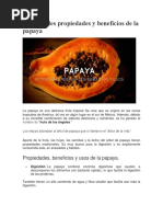 Las Grandes Propiedades y Beneficios de La Papaya