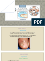 Patologías Podológicas Más Frecuentes Onicofosis PDF