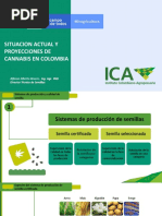 Ica Cannabis Medicinal Congreso