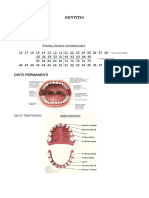 Curs Profilaxie AMD - Odt