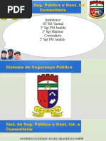 00 - Sistema de Segurança Pública e Gestão Integrada e Comunitária - Módulo 00 - Ementa