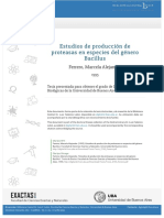 Estudios de Producción de Proteasas - Bacillus - Ferrero