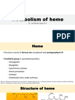 Metabolism of Heme