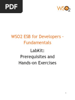 Esb Fundamentals Labs