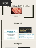 Circulación Fetal Neonato