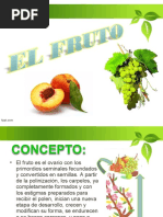 El Fruto PDF