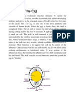 Structure of The Egg