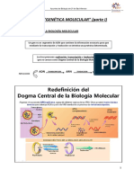 12 - Genética Molecular I