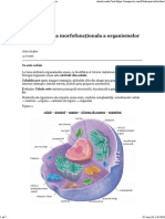 Celula Unitatea Morfofuncţionala A Organismelor VII