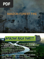 AMAZON FOREST FIRE PPT Final