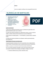 Aparato Genital Femenino Ii