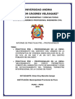 INFORME DE PRACTICAS PRE BRIAN - Docx136390598