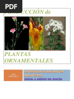 PROYECTO ABP Elaboracion de Plantas Ornamentales