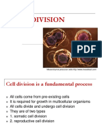 Review of Cell Division BSC Students