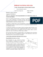 El Selenio Como Requerimiento Nutricional para El Cultivo de Fresa