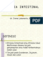 Atresia Intestinal