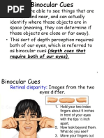 Perception 2 - Binocular and Monocular Cues