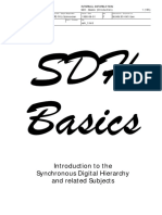 SDH Basics PDF