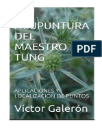 Acupuntura Tung RECOPILACION