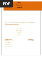 A Study of Consumer Preference and Precept Ion Towards Internet Service Provider in Punjab