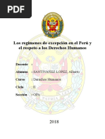 Monografia Regimen de Excepcion