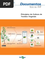 Principios Da Cultura de Tecidos Vegetais