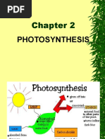 9 Photosynthesis PDF