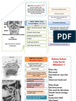 Leaflet Sinusitis