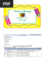 Unidad de Aprendizaje-V Ciclo (5°, 6°) - Julio