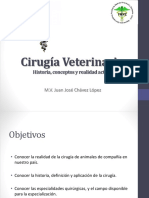 1 - Realidad, Divisiones y Ramas de La Cirugía