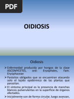 OIDIOSIS