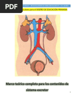 MÓDULO Sistema Excretor