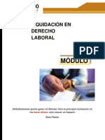 Liquidacion Laboral PDF