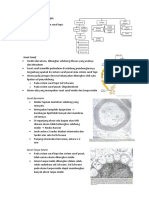 Histologi Sistem Saraf Tepi