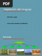 Vegetación Del Uruguay