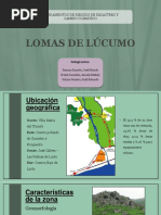 Lomas de Lúcumo - Gestión de Riesgo