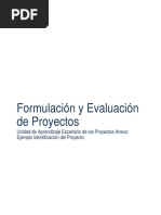 Ejemplo de Identificación de Proyectos