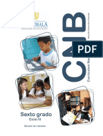 6o Grado CNB Nivel de Educación Primaria