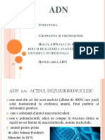 Adn Proiect