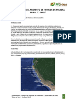 Reporte Sobre El Proyecto de Hongos de Madera en Palto Hass 2019