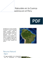 Recursos Naturales Mas Relevantes en La Cuenca Amazónica