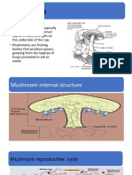 Mushroom Cultivation Technology